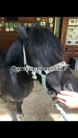 Qui veut tu monter ?