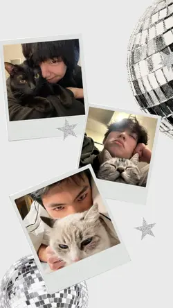 3 photo version 2.0