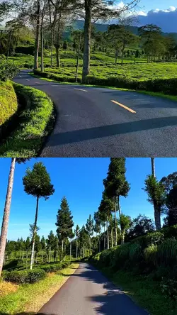 2 video kolase