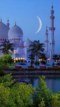 sholawat viral