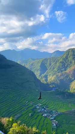Bundok template