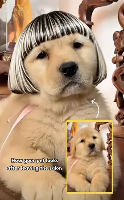 AI hair style