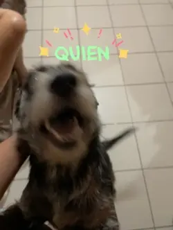 🐾 💗
