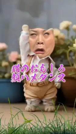 猫のおもしろ顔ハメダンス