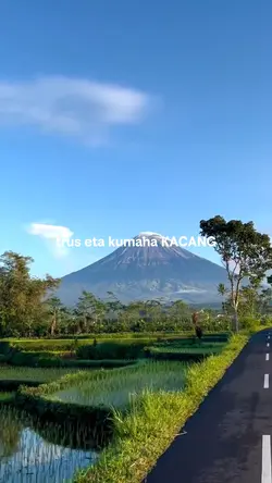 KACANG TANAH