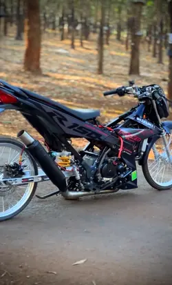 Malaysian concept