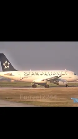 This Plane 😍😍😍