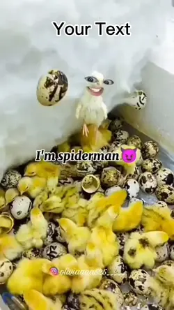 I'm Spidermann