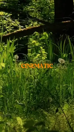 CINEMATIC