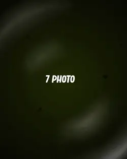 NEW TEMPLATE