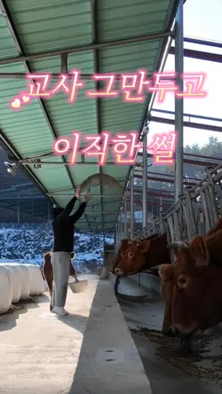 교사 그만두고 이직한 썰
