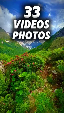 33 clip or photo 