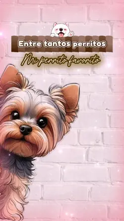 Mi perrito favorito