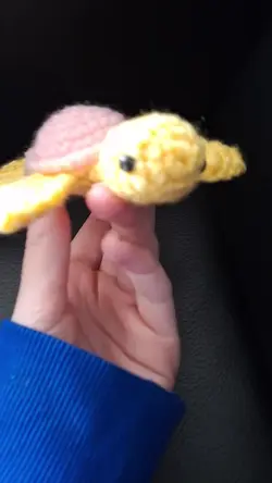 turtle transition 