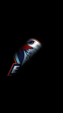 intro logo