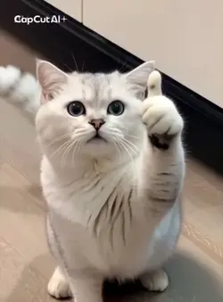 君にいいね!