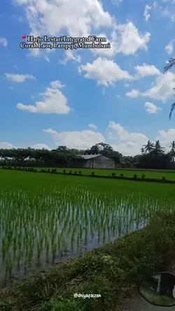 Vlog Healing Seru