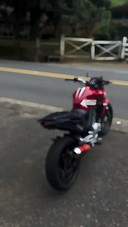 Vai cavalona 