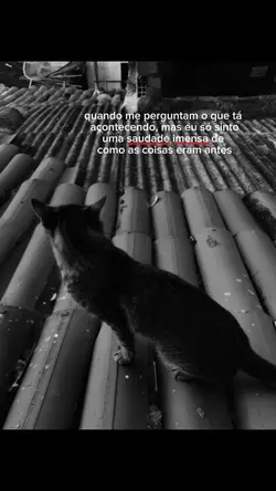 saudade imensa