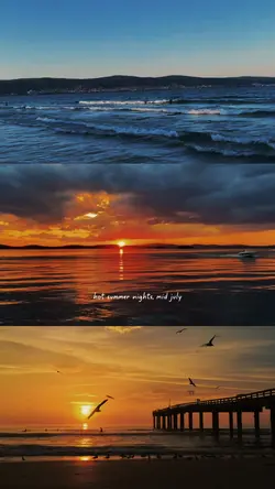 Sunset template vlog