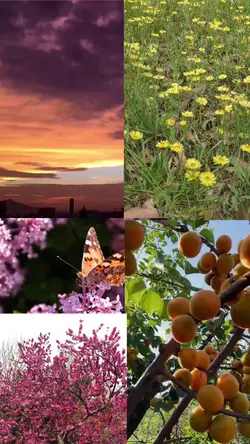 colores de primavera
