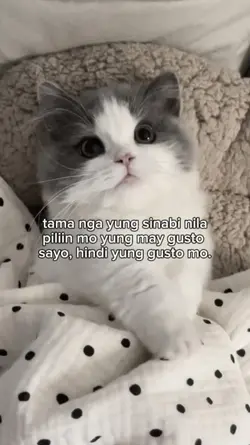 tama nga sila