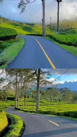 2 video 1 collage