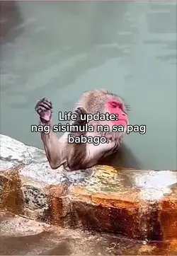 Life update 