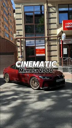 MIMOSA 2000