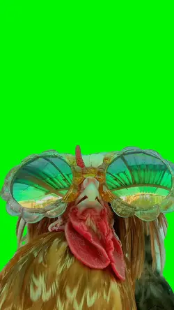 Dancing Chicken Meme