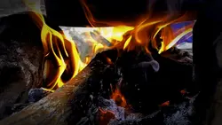 Full Cinematic Video