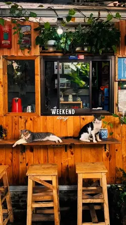 Weekend moments