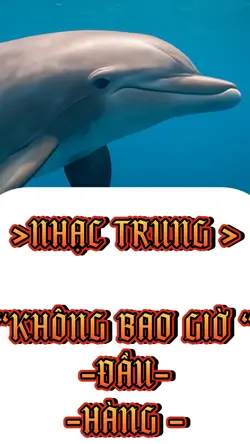 NHẠC TRUNG HAY 