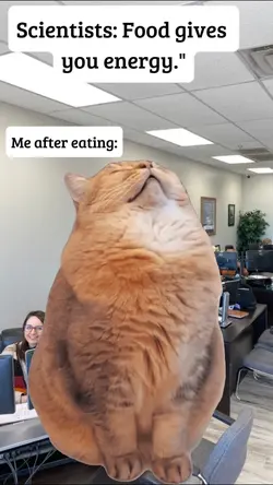 after eating