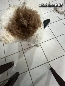 what time is it??