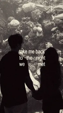 to the night we met 