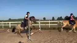 rolka z jazdy