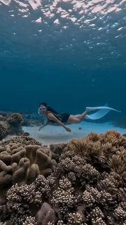Dive