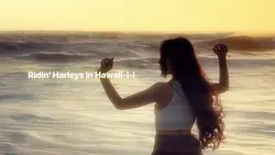 Harleys In Hawaii