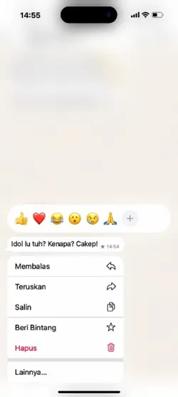 idol