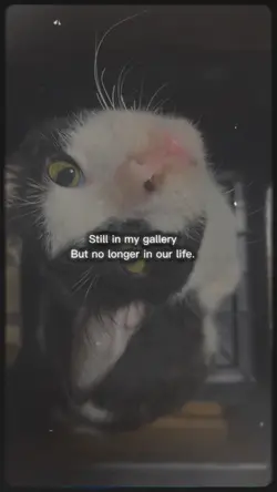 Still in my gallery