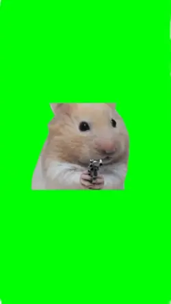 hamster stick up