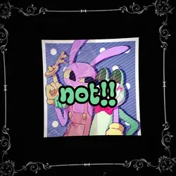 rabbijax cool
