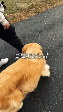 Dog camera roll 