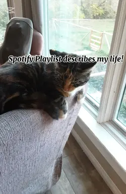 my life v/2