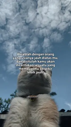 Banyak pengalaman