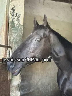 Mon cheval préf