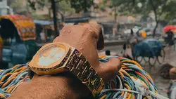 Zaya 