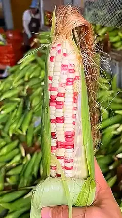 Ghép Mặt 