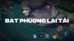 BÁT PHƯƠNG LAI TÀI